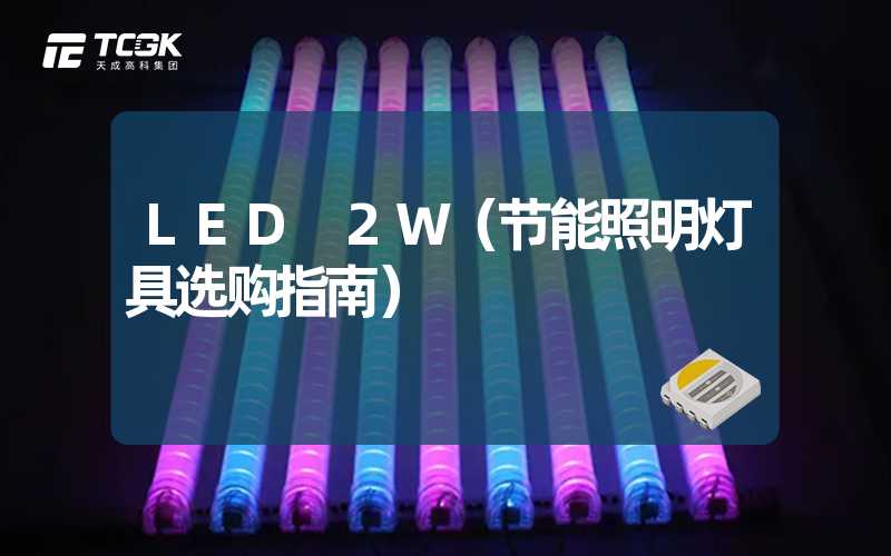 LED 2W（节能照明灯具选购指南）